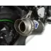 Termignoni Kawasaki Z 900 2017 - 2019 Terminale Di Scarico Moto Marmitta Gp Carbonio