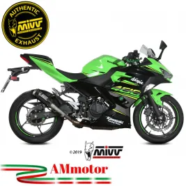 Mivv Kawasaki Ninja 400 Terminale Di Scarico Moto Marmitta Mk3 Carbonio