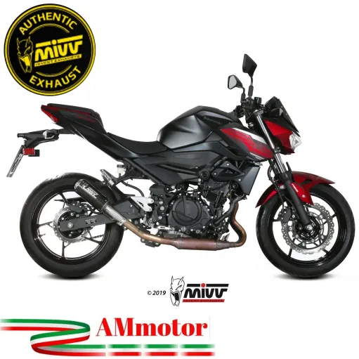 Mivv Kawasaki Z 400 Terminale Di Scarico Moto Marmitta Mk3 Carbonio