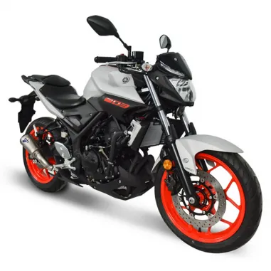 Termignoni Yamaha MT-03 Terminale Di Scarico Moto Marmitta GP2R-RHT Titanio