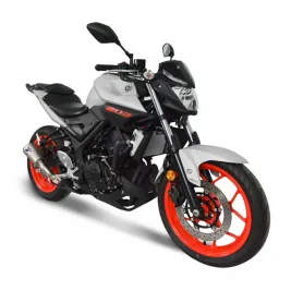 Termignoni Yamaha MT-03 Terminale Di Scarico Moto Marmitta GP2R-R Inox 2