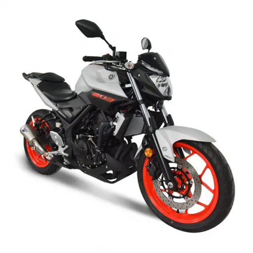 Termignoni Yamaha MT-03 Terminale Di Scarico Moto Marmitta GP2R-R Inox