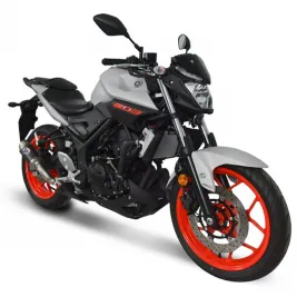 Termignoni Yamaha MT-03 Terminale Di Scarico Moto Marmitta Gp Carbonio 2