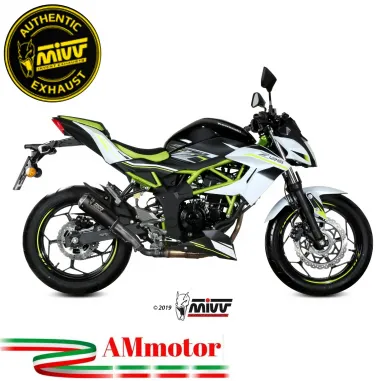 Mivv Kawasaki Z 125 Terminale Di Scarico Moto Marmitta Mk3 Carbonio