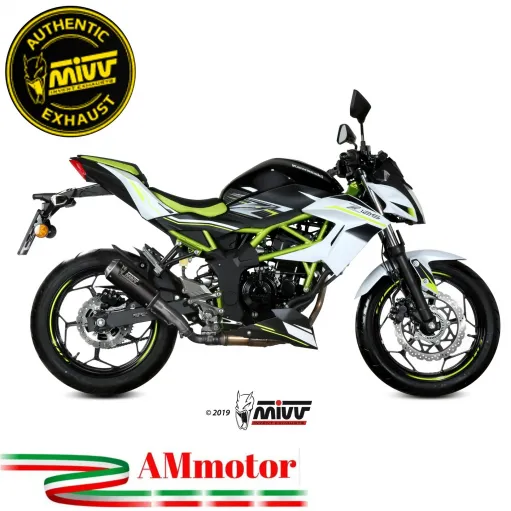 Mivv Kawasaki Z 125 Terminale Di Scarico Moto Marmitta Mk3 Carbonio