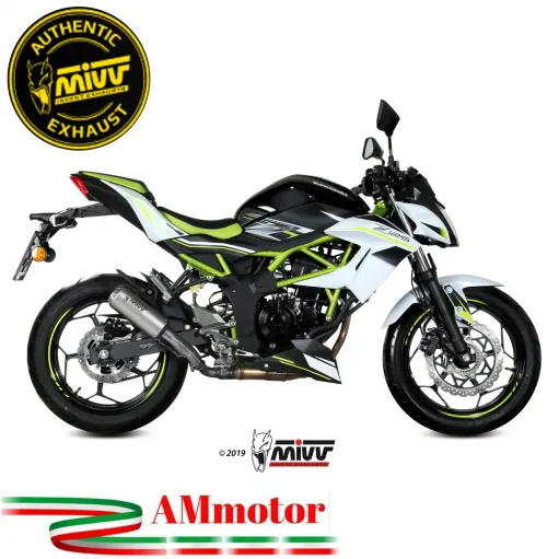 Mivv Kawasaki Z 125 Terminale Di Scarico Moto Marmitta Mk3 Inox