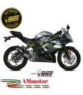 Mivv Kawasaki Ninja 125 Terminale Di Scarico Moto Marmitta Mk3 Carbonio