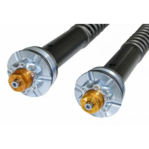 Ducati X Diavel Cartuccia Forcella Andreani Misano Regolabile Idraulica Evo