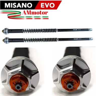 Ducati X Diavel Cartuccia Forcella Andreani Misano Regolabile Idraulica Evo