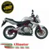 Mivv Kawasaki ER-6N / F Terminale Di Scarico Moto Marmitta Oval Carbonio