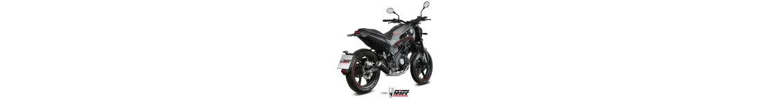 LEONCINO 125