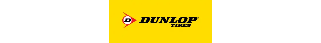 Gomme Pneumatici Moto Dunlop Online  - Acquista Al Miglior Prezzo - Ammotor.it
