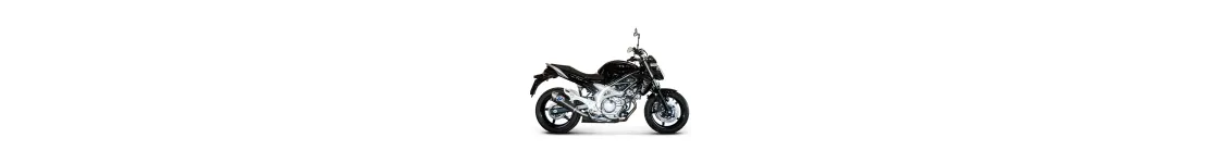 GLADIUS 650