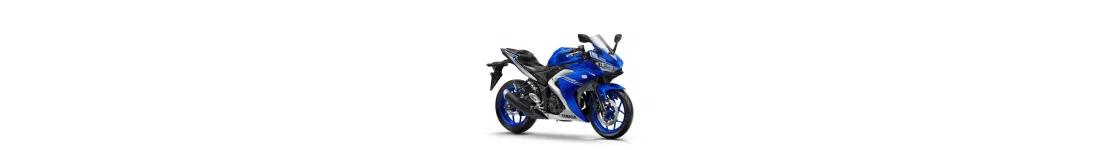 YZF R25