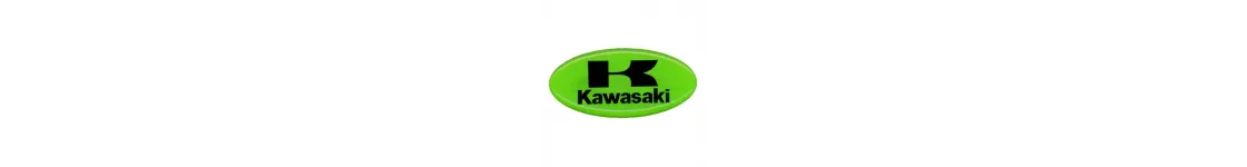 Kawasaki