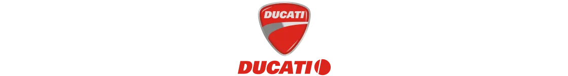 Centraline Aggiuntive Moto Ducati - Acquista Al Miglior Prezzo