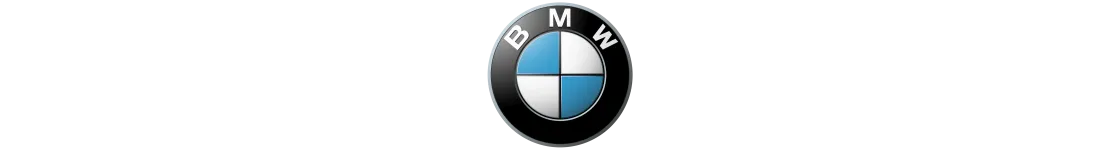 Scarichi Marmitte Terminali Termignoni per Moto BMW al Miglior Prezzo